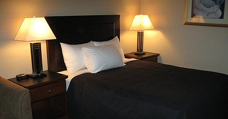 Queen Sofabed Room